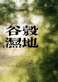谷壳公司