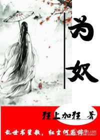 为奴十二年故事梗概