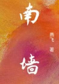 南墙已撞最精辟一句话