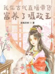 我在古代直播教书发家 作者翊小九