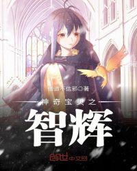 神奇宝贝之智辉 第一