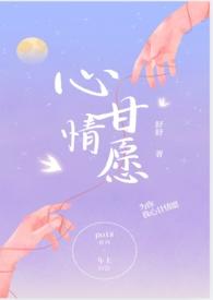 心甘情愿酒吧