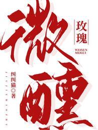 rio微醺玫瑰荔枝听装价格