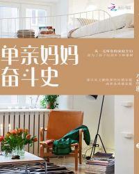 单亲妈妈奋斗记是谁演的