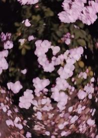 西沉寂静地校园h文最新章节内容