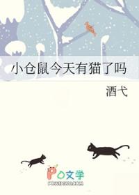 小仓鼠去哪了绘本在线听