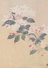 撷春色(强取豪夺)免费阅读