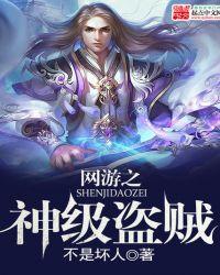 网游之盗贼系列