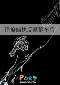 错撩偏执男主后我甩不掉了