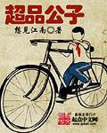 超品公子全集免费
