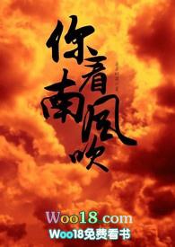 你看南风吹 txt