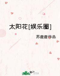 太阳花娱乐圈苏鹿鹿百度