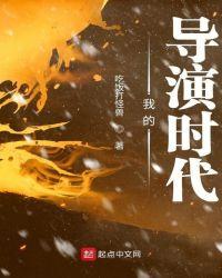 我的导演时代书评