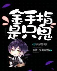 金手指是什么游戏