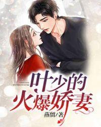 叶少宠妻全文免费阅读