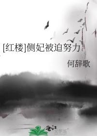 侧妃谋全文免费阅读