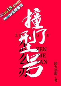 撞了型号怎么办在线