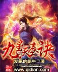 九星天辰诀叶辰完整版