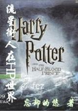 流星街人在hp世界免费