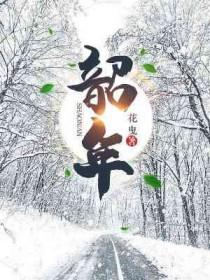 韶年主要讲了什么