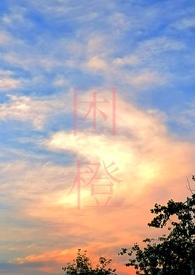 困城蔺观川许枫最后和谁在一起了