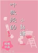 叶教授的小黏糖免费阅读视频