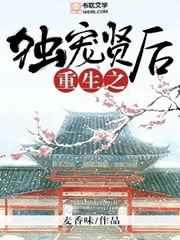 重生之独宠贤后txt