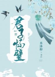 君子怀璧番外