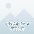 全民领主从亡灵开始百倍增幅起点