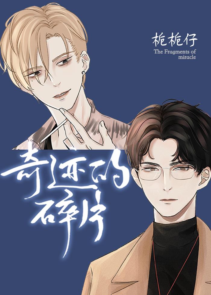 奇迹的碎片 全文阅读