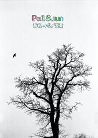 失落的英雄在线阅读免费