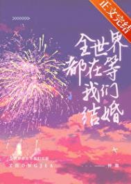 全世界都在等我们结婚by梦游刀