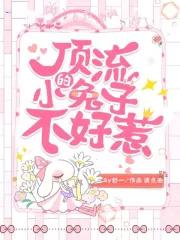 顶流作者不好惹全文免费阅读