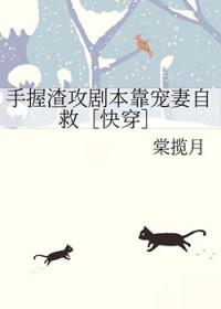 大佬他总爱睡觉