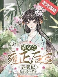 清穿之雍正妃
