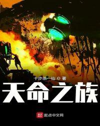 天命之族阅读免费