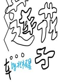 莲花莲子图片大全