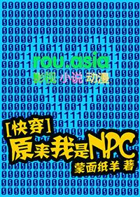 原来我才是npc