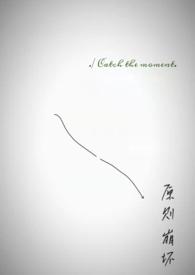 原则崩坏by乌鱼笔趣阁txt