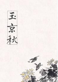 玉京秋赵砚