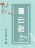 青云妻上晋江