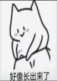 那个被我玩弄的男孩悦己