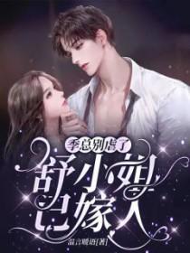 舒小姐已嫁人TXT