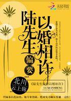 陆先生偏要以婚相许TxT免费