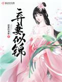 弃妻似锦在线阅读