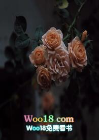 壁垒是什么意思饭圈