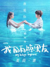 我的白鲸男友原著