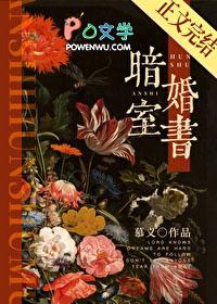 暗室婚书傅蔺征