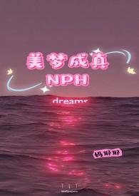 美梦成真bⅰ