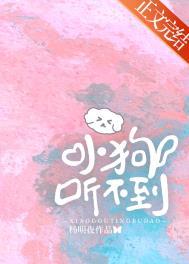 小狗听不到免费